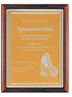 Плакетка - PL480
