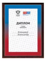 Плакетка - PLG7a-95ГТО-ZAK