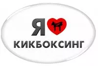 Значок "Кикбоксинг" - ZN26