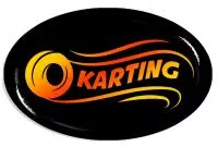 Значок "Картинг"  - ZN26