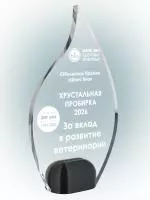 Награда из акрила – PS2064c