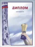 Диплом - GR10