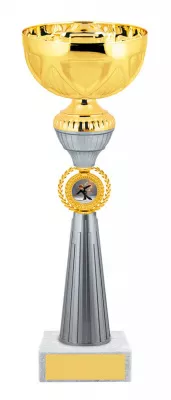Кубок-эконом  "Фигурное катание" - KM5079