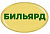 Значок "Бильярд" - ZN26