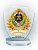 Награда из акрила – PS686-1